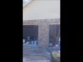 video pic
